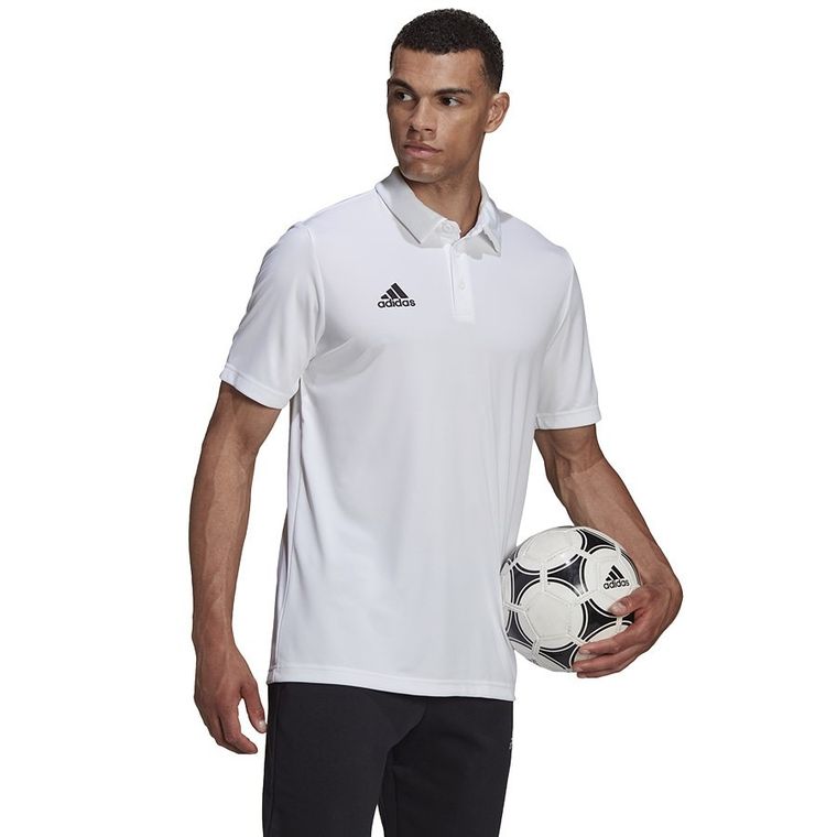 Koszulka polo męska z krótkim rękawem, czarna, Adidas Entrada 22 Polo
