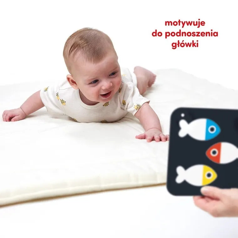 Czuczu, karty kontrastowe, duże, 0m+