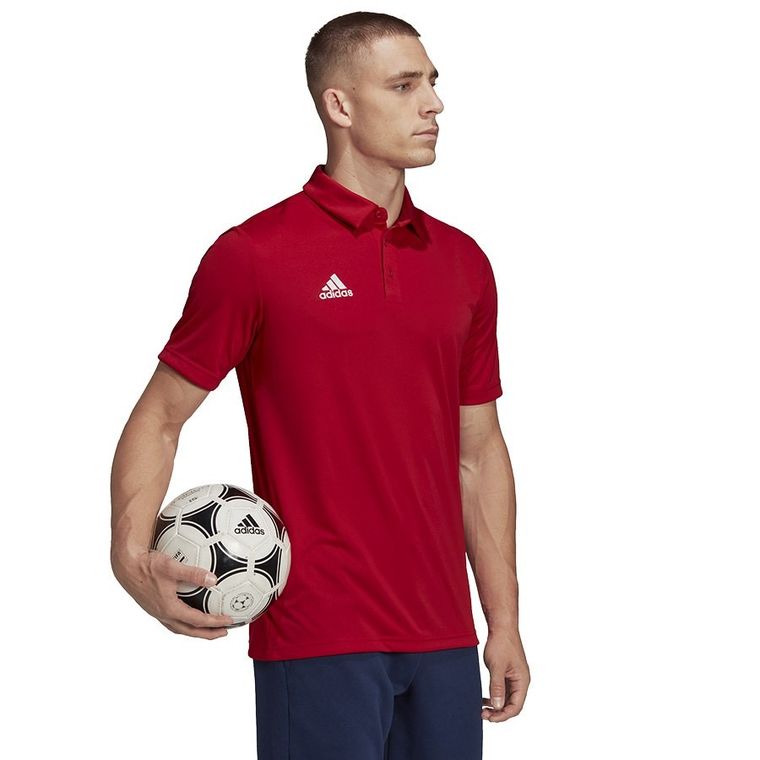 Koszulka polo męska z krótkim rękawem, czarna, Adidas Entrada 22 Polo
