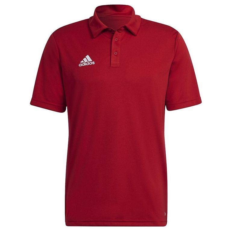 Koszulka polo męska z krótkim rękawem, czarna, Adidas Entrada 22 Polo