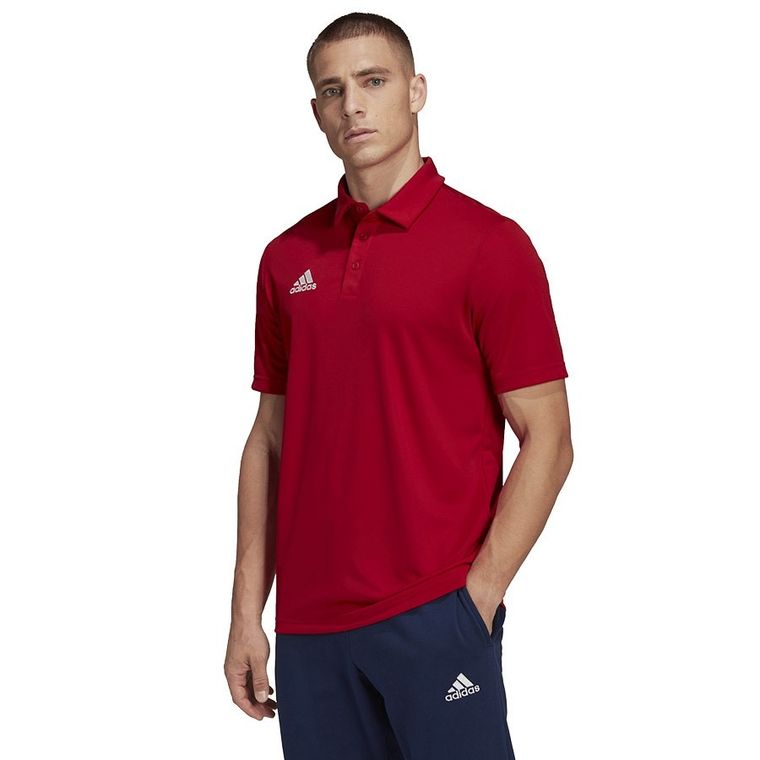 Koszulka polo męska z krótkim rękawem, czarna, Adidas Entrada 22 Polo
