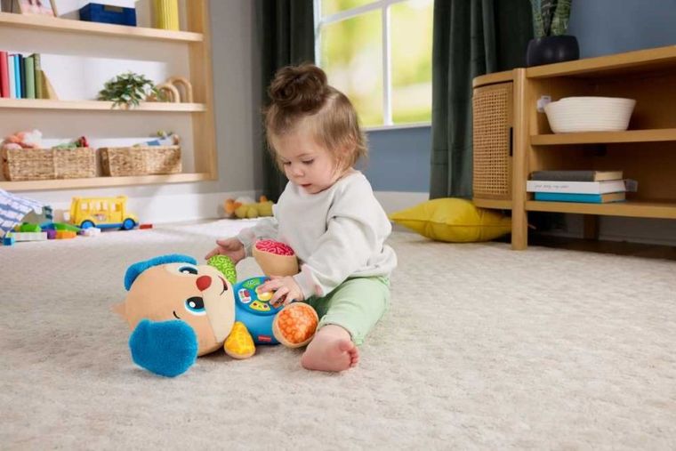 Fisher-Price, Szczeniaczek Uczniaczek, Poziomy Nauki, zabawka edukacyjna