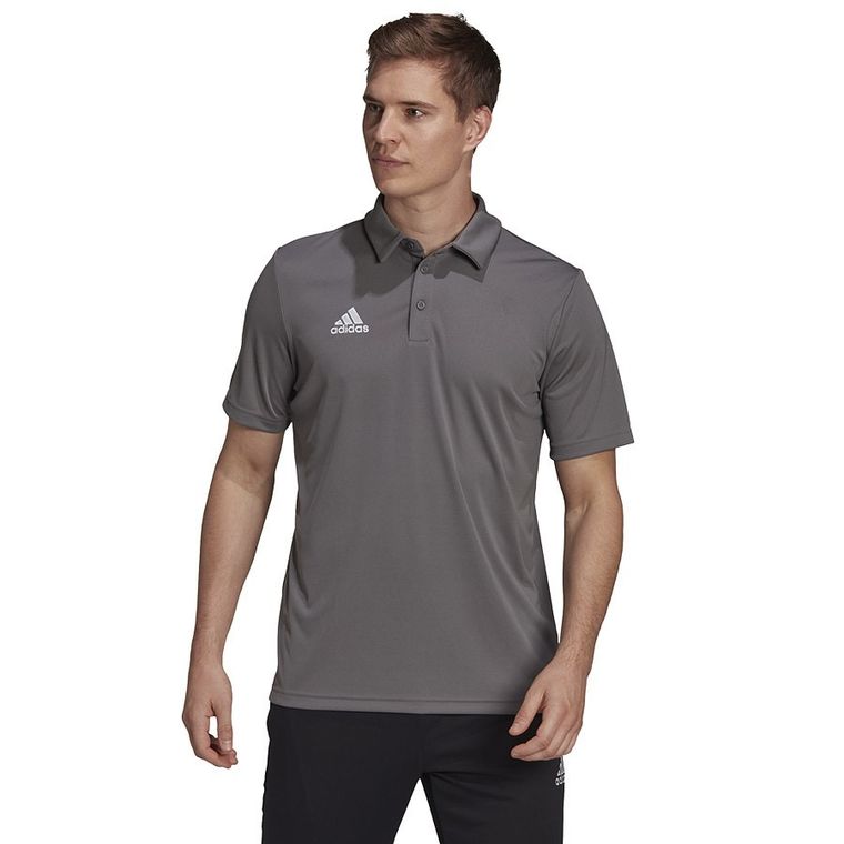 Koszulka polo męska z krótkim rękawem, czarna, Adidas Entrada 22 Polo