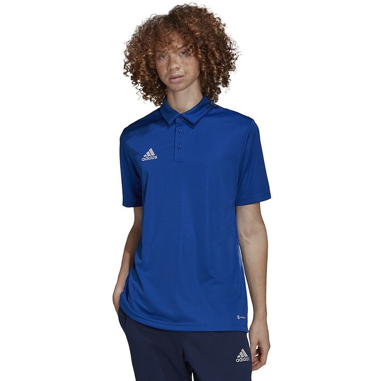 Koszulka polo męska z krótkim rękawem, czarna, Adidas Entrada 22 Polo