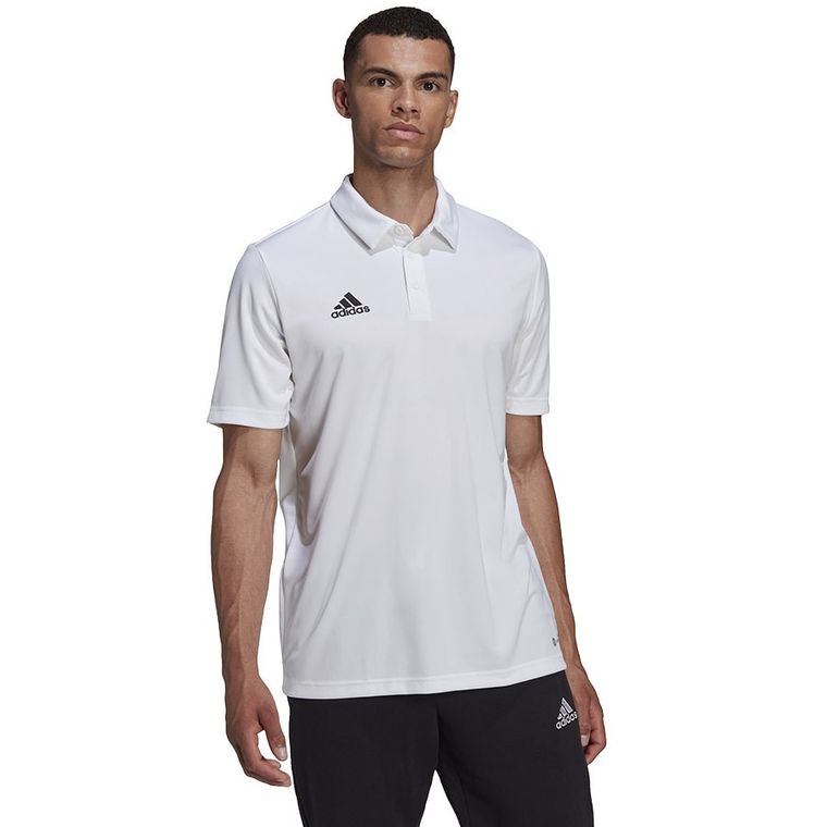 Koszulka polo męska z krótkim rękawem, czarna, Adidas Entrada 22 Polo